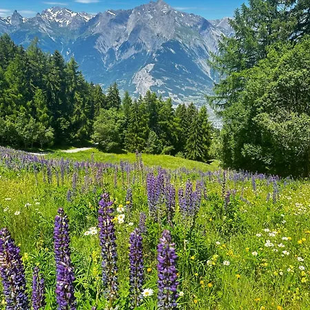 Apartamento Lumineux & Nendaz