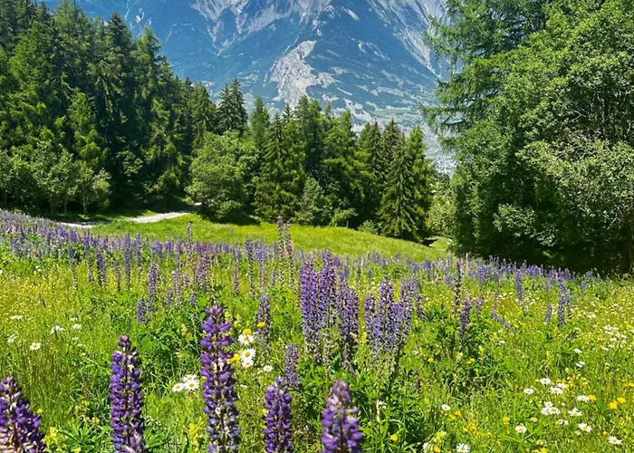 Apartament Lumineux & Nendaz